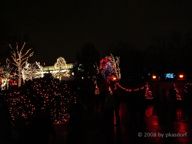 107 Toledo Zoo Light Show [2008 Dec 27].JPG - Scenes from the Toledo Zoo Light Show.